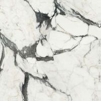 Товар: Керамогранит Rex Ceramiche (Florim) Les Bijoux de Rex Calacatta Altissimo Blanc Mat Ret арт-765670 - фото 1 Керамогранит Rex Ceramiche (Florim) Les Bijoux de Rex Calacatta Altissimo Blanc Mat Ret арт-765670 — фото 1, Керамогранит