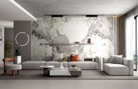 Керамогранит NT Ceramic Atlas Wide Tantai Jin Demon арт-NTT3013P (C) — фото 4, Керамогранит