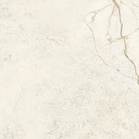 Керамогранит ProGRES Andrea Cream арт-PRO 1207G — фото 8, Керамогранит