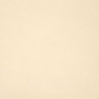 Керамогранит Casalgrande Padana Unicolore Technic Bianco Avorio Naturale 11,2mm арт-720001 — фото 1, Керамогранит