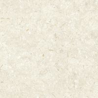 Керамогранит Grespania Fosil Bone Rec арт-82F235R — фото 8, Керамогранит