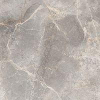 Керамогранит NS Ceramic Керамогранит с Эффектом Камня Grey Brown арт-NSC8031 — фото 1, Керамогранит