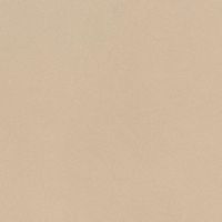 Керамогранит Imola ceramica Parade Prtu120ARm арт-Prtu 120A Rm — фото 1, Керамогранит