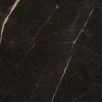 Товар: Керамогранит Protiles Marakanda Carving арт-PT60J7050 - фото 3 Керамогранит Protiles Marakanda Carving арт-PT60J7050 — фото 3, Керамогранит