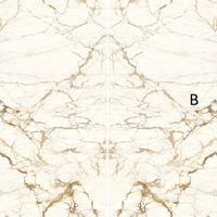 Товар: Керамогранит Stone Calacatta арт-SAR.UM.CMVB.LC - фото 1 Керамогранит Stone Calacatta арт-SAR.UM.CMVB.LC — фото 1, Керамогранит