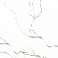 Товар: Керамогранит Pardis Ceramic Pazh Helen Polished арт-166742 - фото 7 Керамогранит Pardis Ceramic Pazh Helen Polished арт-166742 — фото 7, Керамогранит