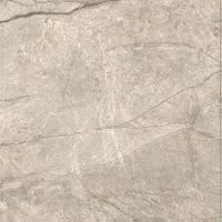 Керамогранит Caesar Anima Futura Amazing Silver Liscio Matt арт-AIAH — фото 1, Керамогранит