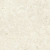 Керамогранит Grespania Fosil Bone Rec арт-82F235R — фото 7, Керамогранит