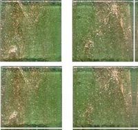 Мозаика Jnj Gold Link Стеклянная арт-GA73 — фото 1, Мозаика