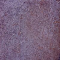 Товар: Настенная плитка Harmony Dyroy Aubergine 8,5mm арт-42608 - фото 4 Настенная плитка Harmony Dyroy Aubergine 8,5mm арт-42608 — фото 4, Настенная плитка