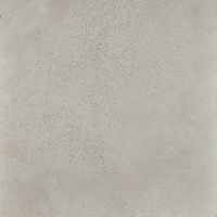 Товар: Керамогранит Ceramica Fioranese I Cocchi Cenere 90 Nat арт-IC903R - фото 1 Керамогранит Ceramica Fioranese I Cocchi Cenere 90 Nat арт-IC903R — фото 1, Керамогранит