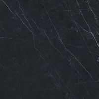 Керамогранит Ariostea Marmi Classici Nero Marquinia Polished 8mm арт-PL6547 — фото 2, Керамогранит