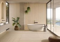 Керамогранит Stn Ceramica Sforza Ivory Matt 6mm арт-3ACOSFORODAA — фото 2, Керамогранит