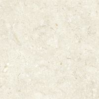 Керамогранит Grespania Fosil Bone Rec арт-82F235R — фото 9, Керамогранит