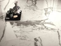 Керамогранит Fap Ceramiche Roma Gold Carrara Superiore Brill арт-FPZC — фото 10, Керамогранит