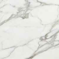 Керамогранит Laparet Angel Blanco полированный арт-SG607022R — фото 3, Керамогранит