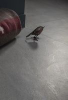 Керамогранит Imola ceramica Lime Rock Lmrck150GRm арт-Lmrck 150G Rm — фото 3, Керамогранит