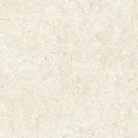 Керамогранит Grespania Fosil Bone Rec арт-81F236R — фото 8, Керамогранит