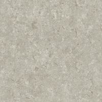 Керамогранит Grespania Fosil Gris Rec арт-82F265R — фото 6, Керамогранит