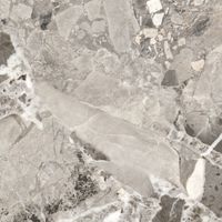 Керамогранит ProGRES Pride Grey Матовый арт-NR0387 — фото 1, Керамогранит