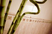 Настенная плитка Vallelunga Executive Stripes giallo Bis арт-B0622A — фото 4, Настенная плитка