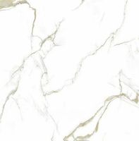 Керамогранит Pardis Ceramic Pazh Керамогранит Helion арт-65 — фото 1, Керамогранит