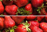 Панно Terracotta Beveled tile Strawberry арт-TD-BT-P-SB1 — фото 1, Панно