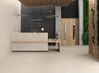 Керамогранит Argenta Kalksten/Flodsten Snow Matt арт-8435592032924 — фото 3, Керамогранит