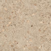 Керамогранит Grespania Bierzo Moka Anti арт-81BZ26A — фото 5, Керамогранит