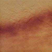 Товар: Напольная плитка Cerrad Jesienny Lisc/Autumn Leaf Tile арт-5903263445470 - фото 1 Напольная плитка Cerrad Jesienny Lisc/Autumn Leaf Tile арт-5903263445470 — фото 1, Напольная плитка