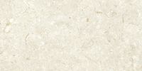 Керамогранит Grespania Fosil Bone Rec арт-46F232R — фото 6, Керамогранит