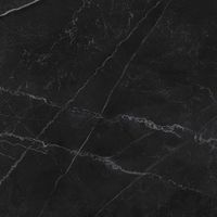 Керамогранит Laparet Opera Nero матовый арт-LP6060G0211R — фото 3, Керамогранит