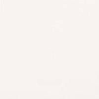 Керамогранит Casalgrande Padana Unicolore Technic Bianco Assoluto Antibacterial 10mm арт-955718 — фото 1, Керамогранит