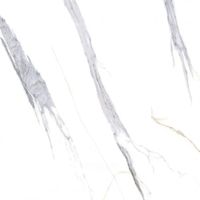 Напольная плитка Primavera Махаон Белый арт-TP413604D — фото 1, Напольная плитка