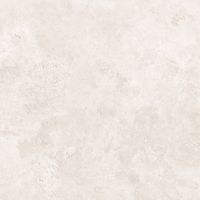 Керамогранит Arcadia Ceramica Arawak White Matt Rustic Punch арт-RT6009-B — фото 4, Керамогранит