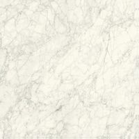 Керамогранит Caesar Anima Ever Supreme White Matt Ret арт-AFIT — фото 1, Керамогранит