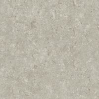 Керамогранит Grespania Fosil Gris Rec арт-81F266R — фото 5, Керамогранит