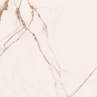 Товар: Керамогранит Cerdomus Omnia Macchia vecchia Safe арт-88954 - фото 1 Керамогранит Cerdomus Omnia Macchia vecchia Safe арт-88954 — фото 1, Керамогранит