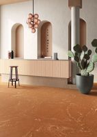 Керамогранит Ceramica Fioranese Biscuit Salvia арт-BIS366R — фото 11, Керамогранит