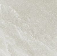 Керамогранит Provenza Salt Stone Grey Ash Naturale Ret арт-ELUG — фото 1, Керамогранит