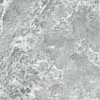 Товар: Керамогранит ProGRES Гриджио Серый матовый арт-NR0340 - фото 2 Керамогранит ProGRES Гриджио Серый матовый арт-NR0340 — фото 2, Керамогранит