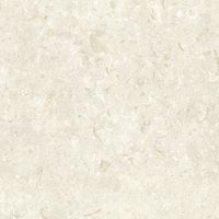 Керамогранит Grespania Fosil Bone Rec арт-82F235R — фото 4, Керамогранит