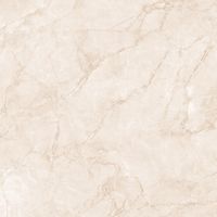 Керамогранит Arcadia Ceramica Arctic Pearl Carving арт-CR6007-A — фото 8, Керамогранит