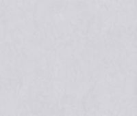 Товар: Керамогранит Zodiac Ceramica Coating White Nature Matt 6mm арт-MN121AY301206 - фото 3 Керамогранит Zodiac Ceramica Coating White Nature Matt 6mm арт-MN121AY301206 — фото 3, Керамогранит