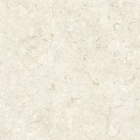Керамогранит Grespania Fosil Bone Rec арт-82F235R — фото 5, Керамогранит