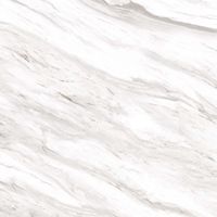 Керамогранит Pardis Ceramic Pazh Rafaelo Polished арт-166736 — фото 2, Керамогранит