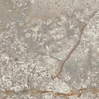 Вставка Atlas Concorde Russia Empire Silver Root Bottone Lap арт-610090002376 — фото 1, Вставка