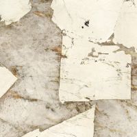 Керамогранит Fmg Maxfine Marmi Patagonia Lappato арт-L150606MF6 — фото 1, Керамогранит