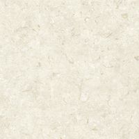 Керамогранит Grespania Fosil Bone Rec арт-81F236R — фото 4, Керамогранит