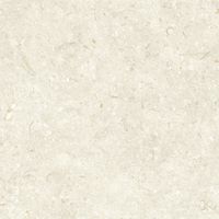 Керамогранит Grespania Fosil Bone Rec арт-81F236R — фото 9, Керамогранит